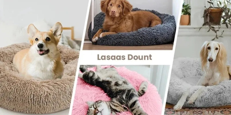 Lit donut super doux lavable pour chat et chien — confort hivernal optimal