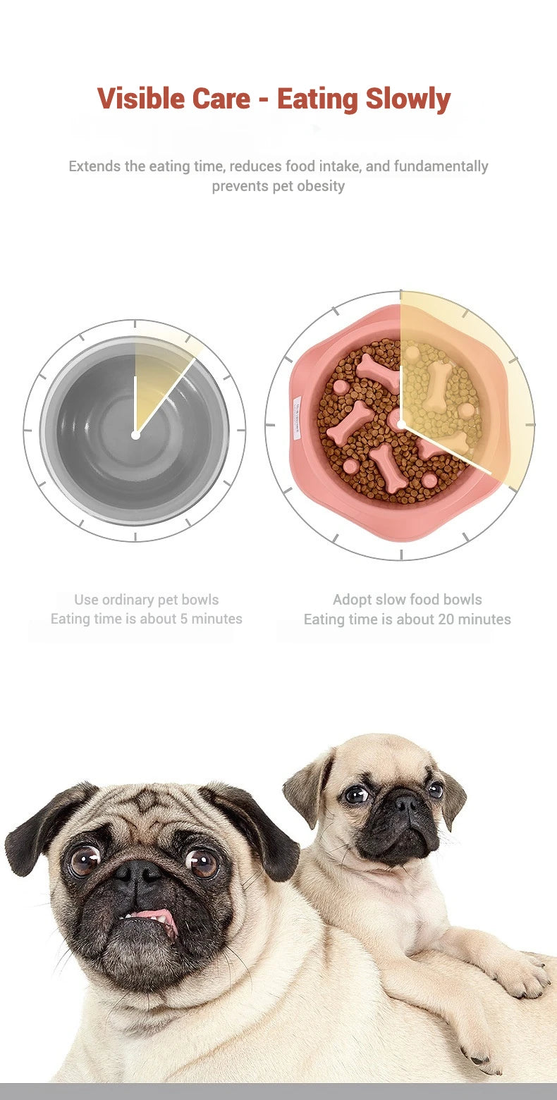 1.5-Cup Slow Feeder Bowl for Small and Medium Dogs – Labyrinth