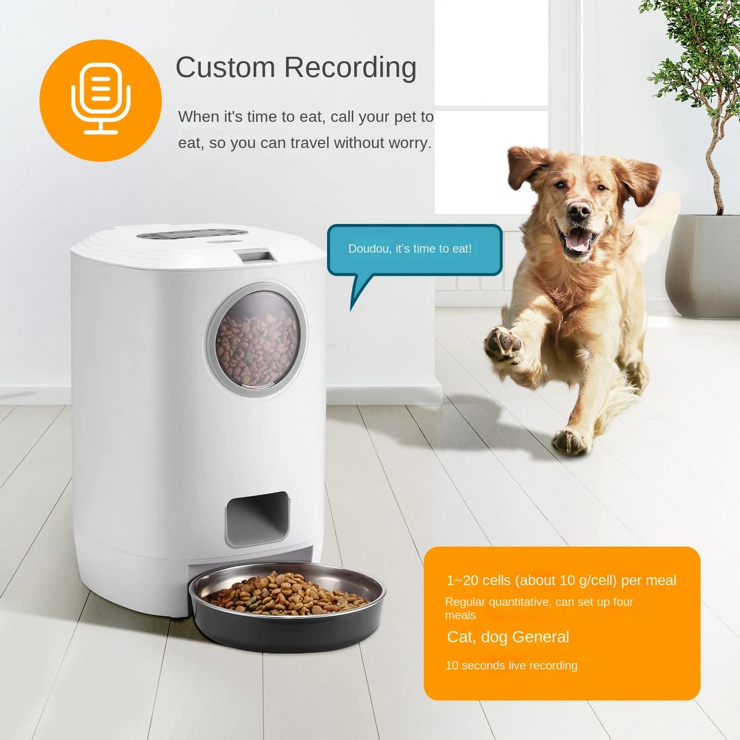 Distributeur intelligent grande capacité avec minuterie, portions programmées et enregistreur vocal